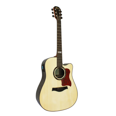 Electric Acoustic Guitar